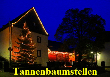 20141129 1024 Weihnachtsbaumstellen Dorfplatz Thuer IMG_08281 1