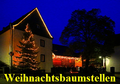 20141129 1024 Weihnachtsbaumstellen Dorfplatz Thuer IMG_08281 1